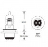 British Pre-focus 12 Volt double contact P36D base, 45/40 watt HALOGEN Headlamp bulb